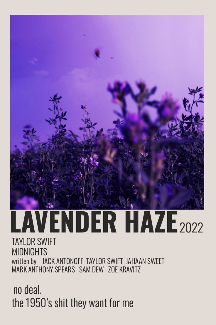 “Lavender Haze” Lyrics From Taylor Swift